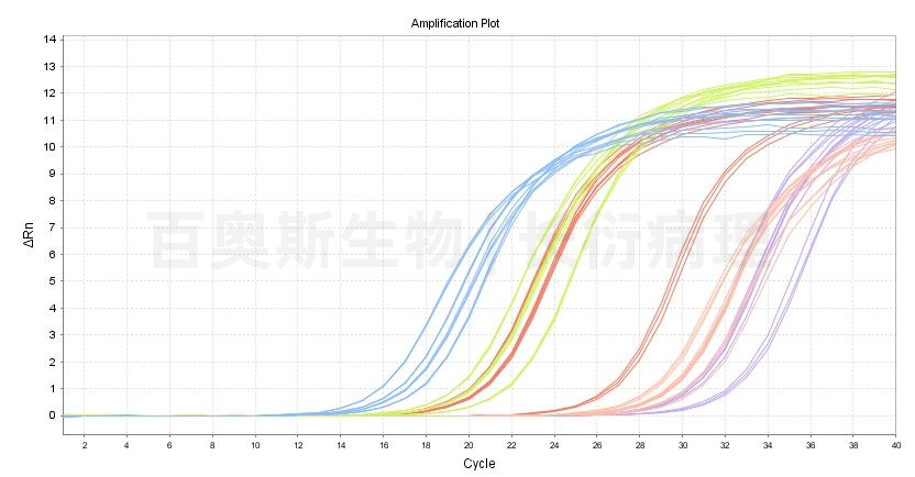 mRNA qPCR扩增曲线-1.jpg