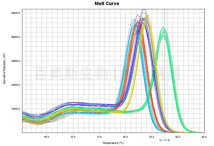 mRNA qPCR溶解曲线-1.jpg