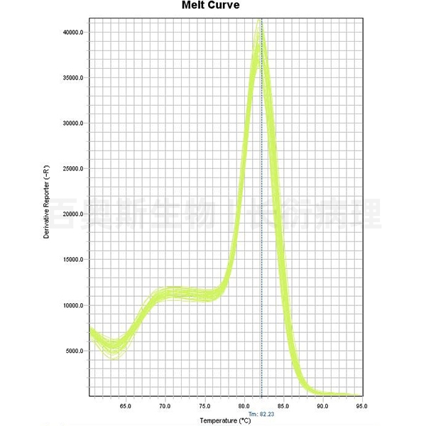 lncRNA qPCR溶解曲线-2.jpg